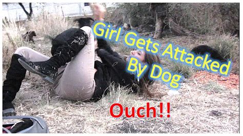 girl gets fucked by a dog|First time being mounted 